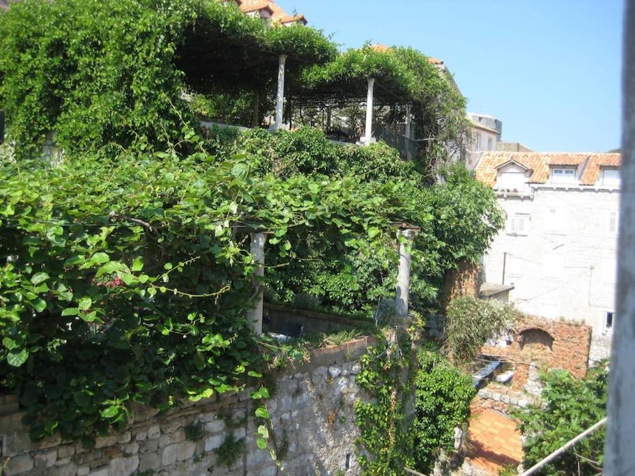 Design Studio - Old Town Dubrovnik Ngoại thất bức ảnh